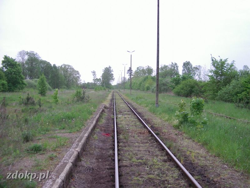 2005-05-23.118 stawiany widok w str gniezna.jpg - stacja Stawiany, widok w stron Gniezna Winiary, pardziesit metrw za stacj tor jest totalnie zaronity, dalej niestety brakuje ju szyn ...